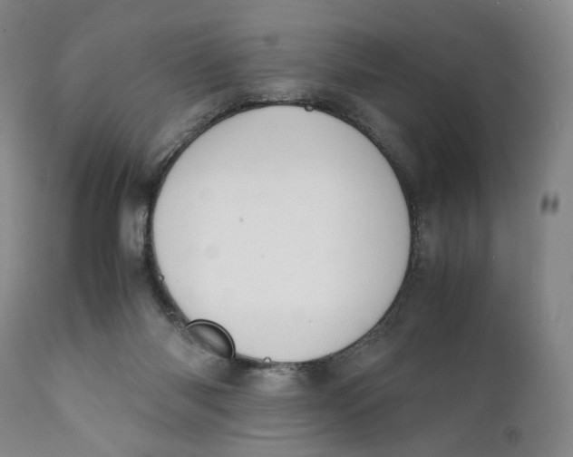 X0000110770118200907061128