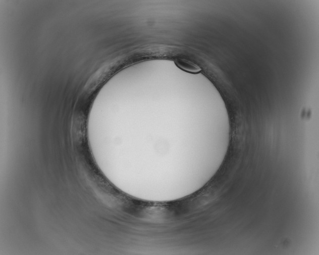 X0000110770119200907061128