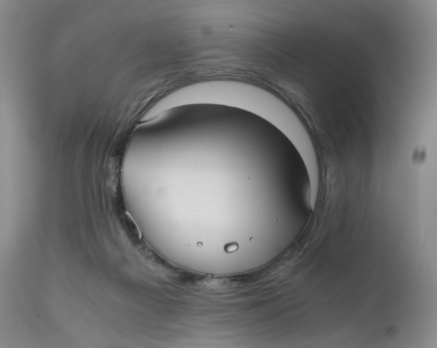 X0000110770121200907061128