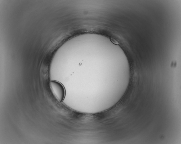 X0000110770123200907061128