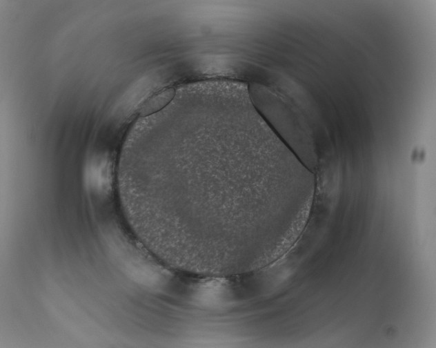 X0000110770124200907061128