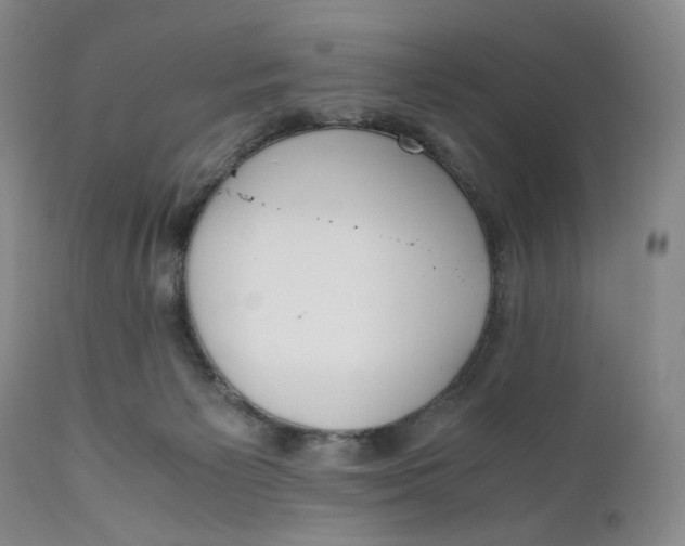 X0000110770125200907061128