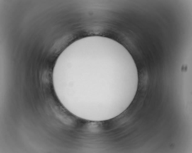 X0000110770126200907061128