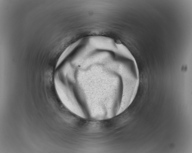 X0000110770127200907061128