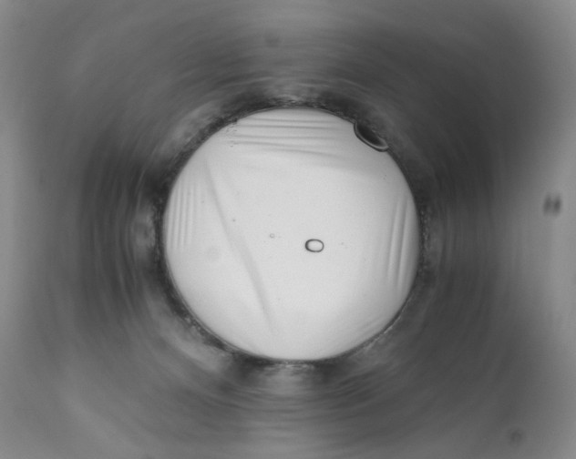 X0000110770128200907061128