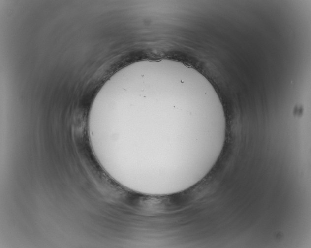 X0000110770129200907061128