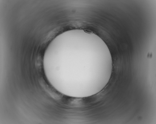 X0000110770132200907061128