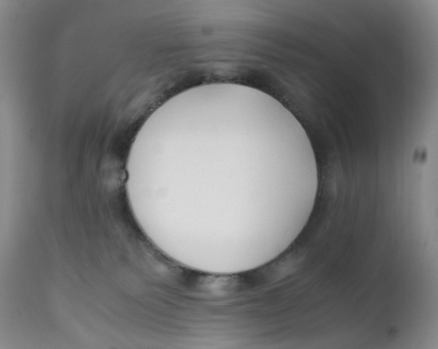 X0000110770135200907061128