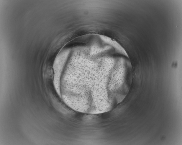 X0000110770137200907061127