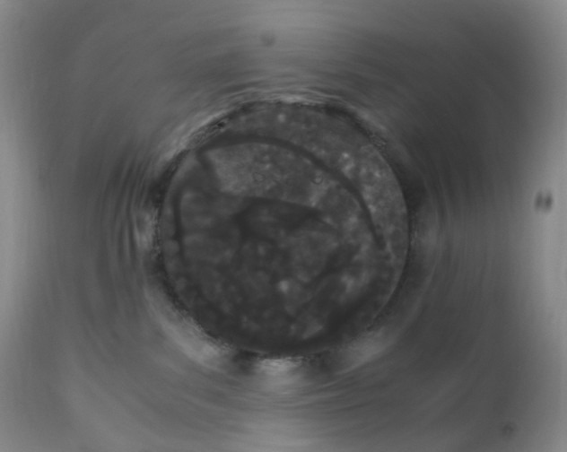 X0000110770139200907061127