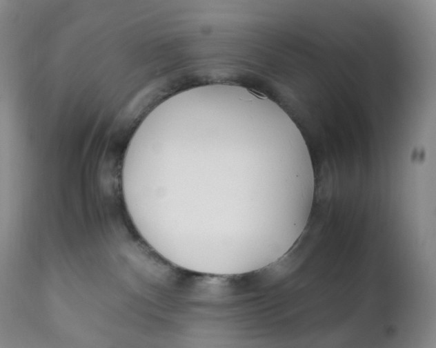 X0000110770140200907061127