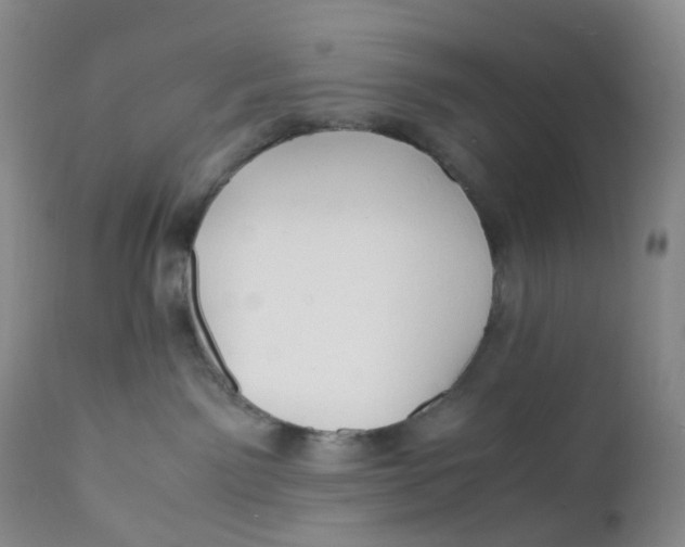 X0000110770141200907061127