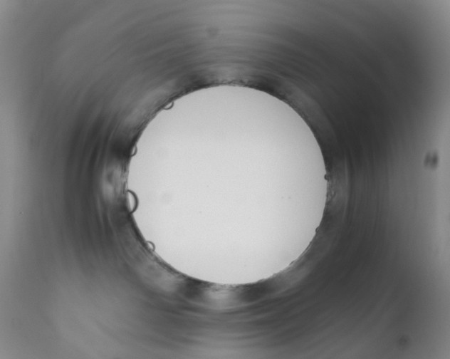 X0000110770142200907061127