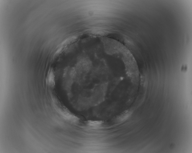 X0000110770143200907061127