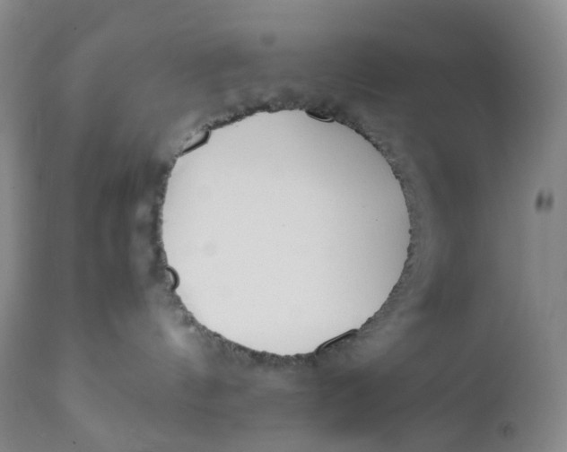 X0000110770144200907061127