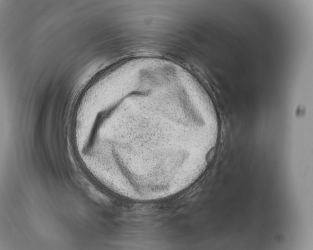 X0000110770145200907061126