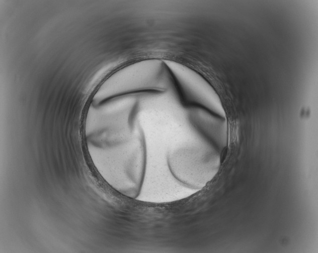 X0000110770147200907061126