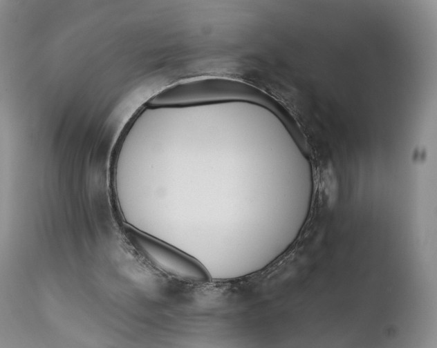 X0000110770148200907061126