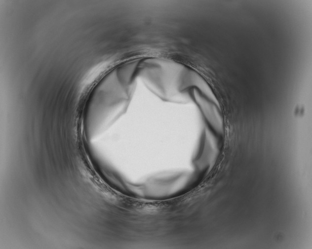 X0000110770149200907061126