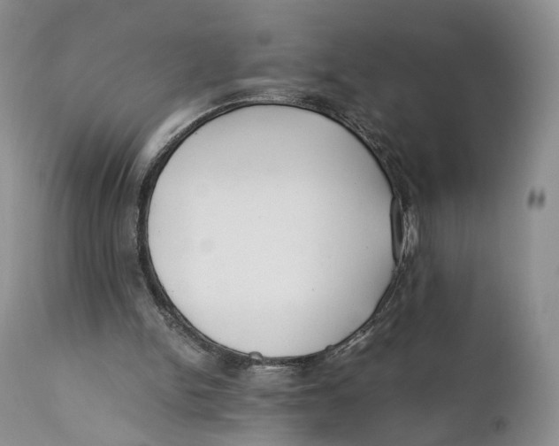 X0000110770150200907061126