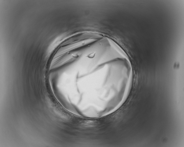 X0000110770151200907061126