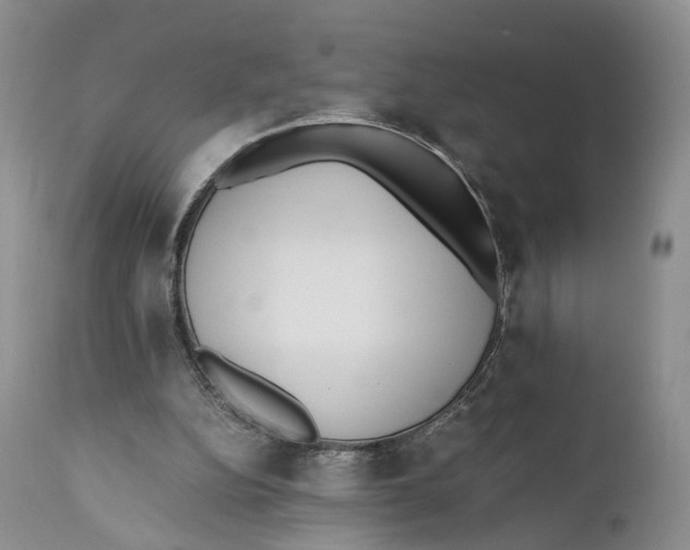 X0000110770152200907061126