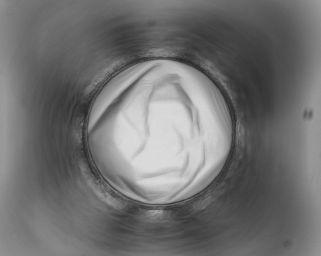 X0000110770153200907061127