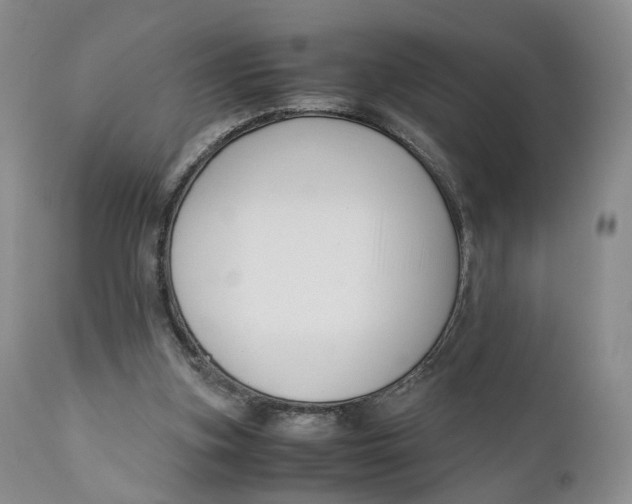 X0000110770155200907061127