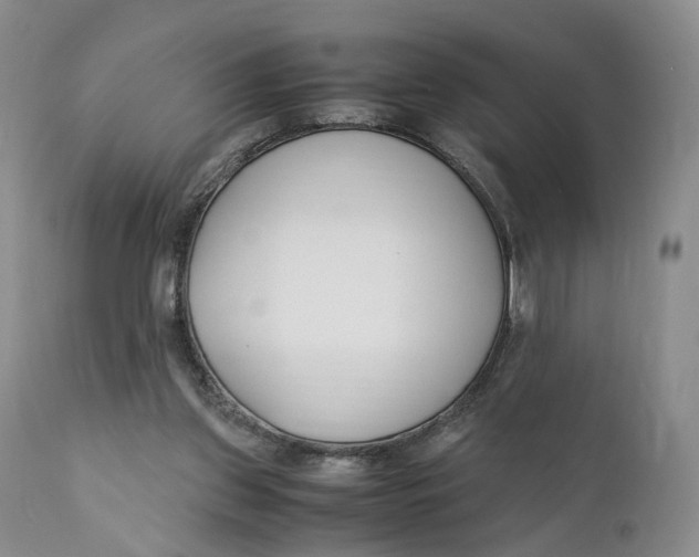 X0000110770157200907061127