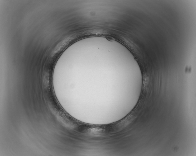 X0000110770158200907061127