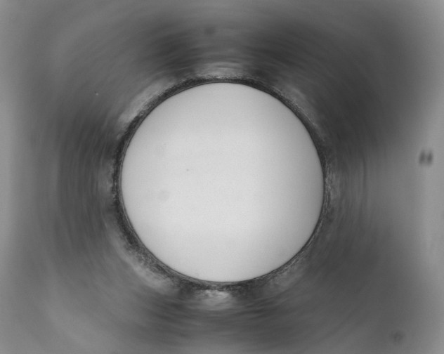 X0000110770159200907061127