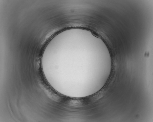 X0000110770160200907061127