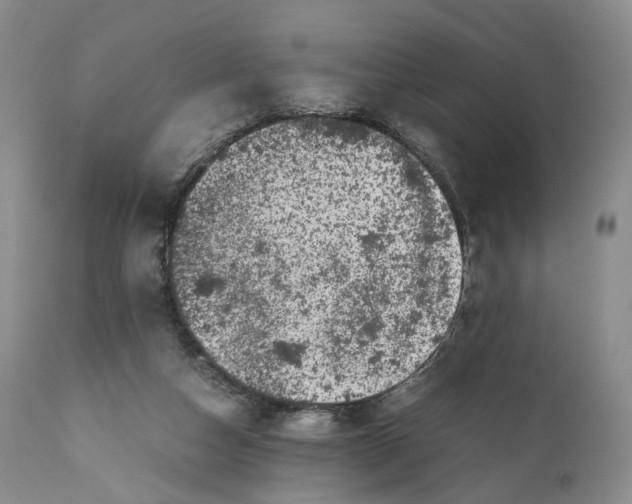 X0000110770162200907061127