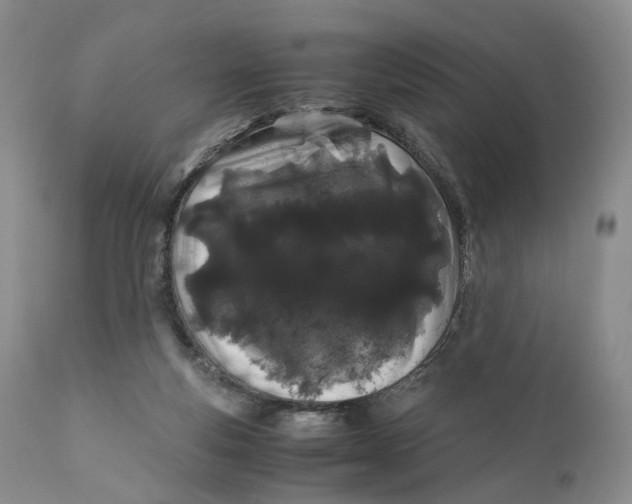 X0000110770163200907061127