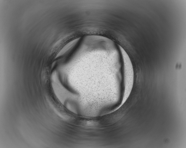 X0000110770165200907061127