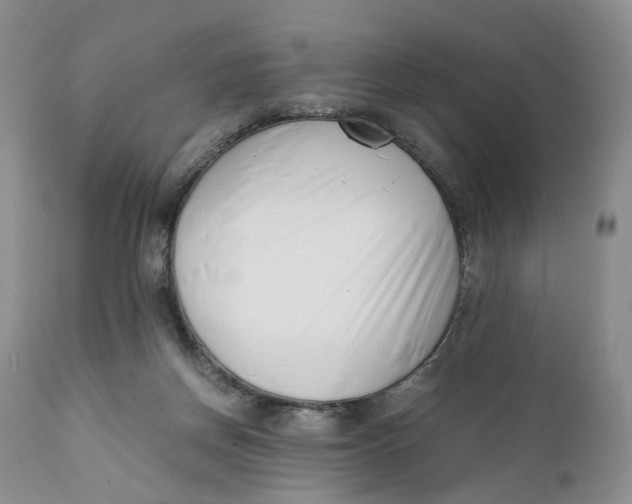 X0000110770166200907061127