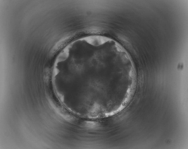 X0000110770167200907061127