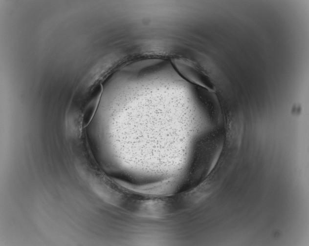 X0000110770168200907061127