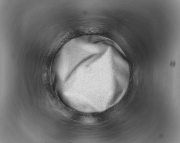 X0000110770169200907061127