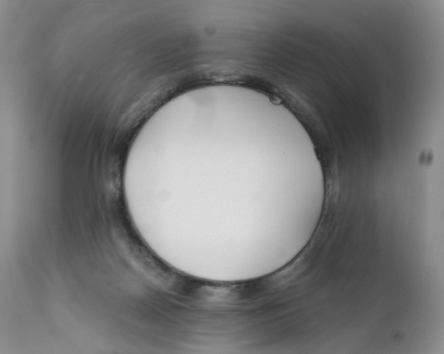 X0000110770170200907061127