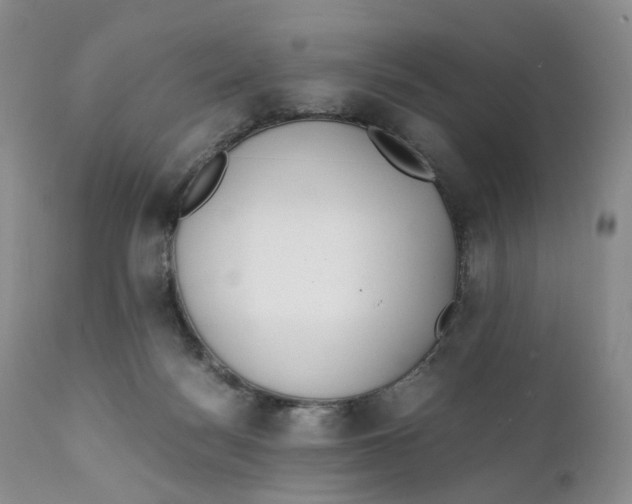 X0000110770172200907061127