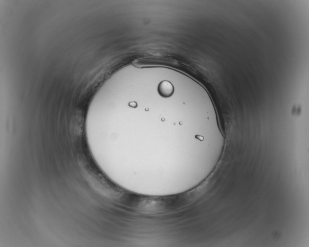 X0000110770174200907061127