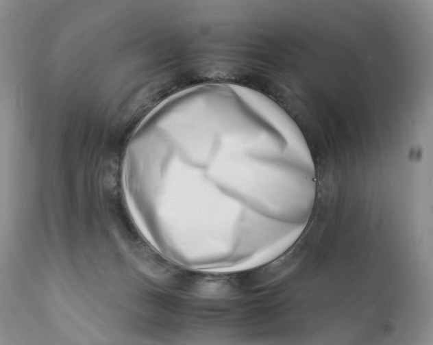 X0000110770175200907061127