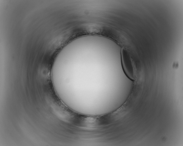 X0000110770176200907061127