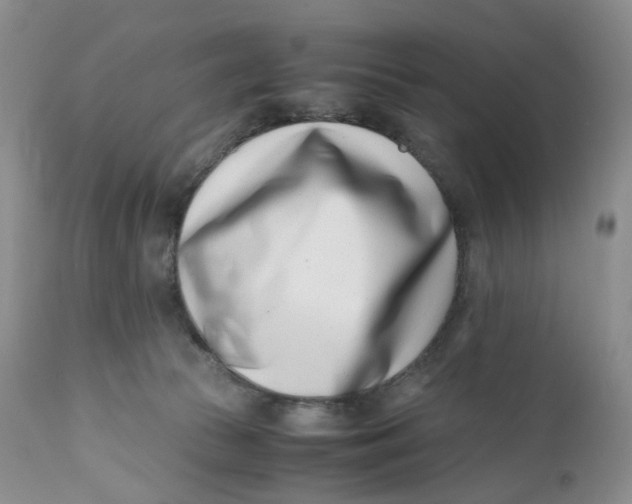 X0000110770177200907061127