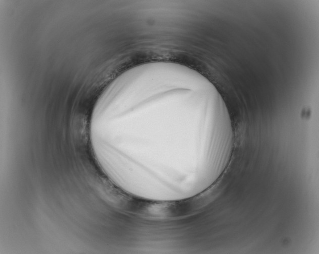 X0000110770178200907061127