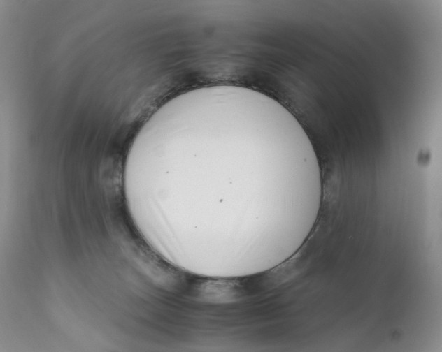 X0000110770179200907061127