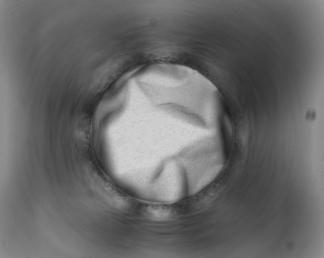 X0000110770181200907061127