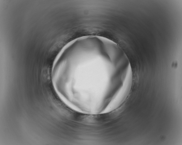 X0000110770182200907061127