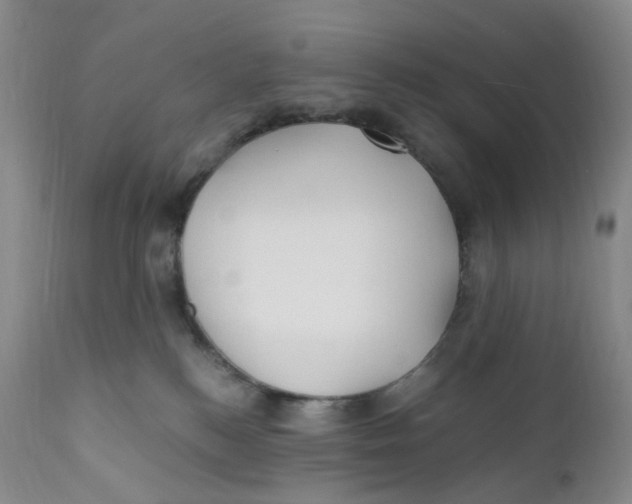 X0000110770184200907061127